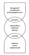 Load image into Gallery viewer, Les Fragrance
