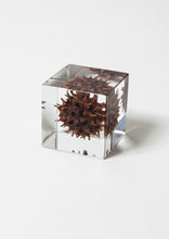 Load image into Gallery viewer, Sola Cube
