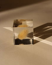 Load image into Gallery viewer, Sola Cube
