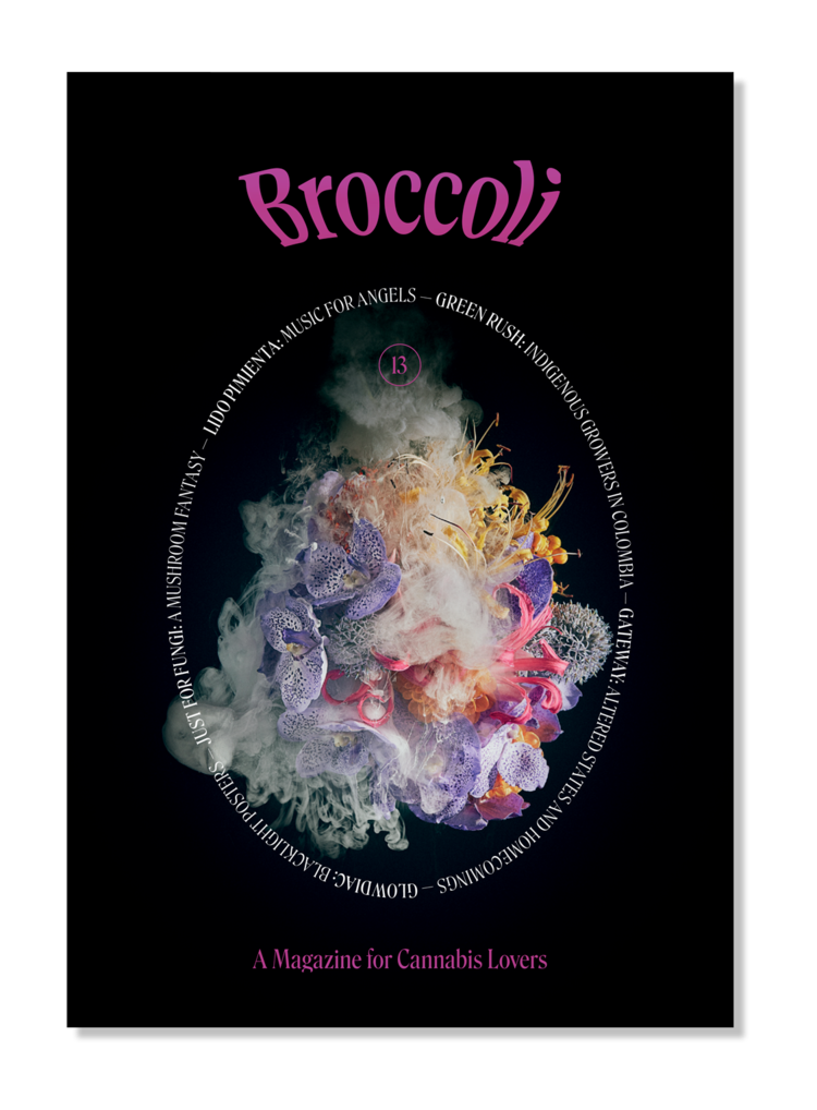Broccoli Magazine