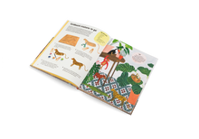 Load image into Gallery viewer, Let&#39;s Play Indoors: Fun Crafts for Children
