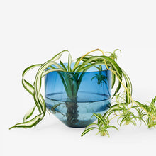Load image into Gallery viewer, Model Three Planter in Blue
