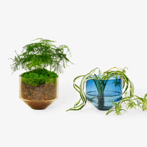 Model Three Planter in Blue