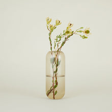 Load image into Gallery viewer, Aurora Small Pill Vase
