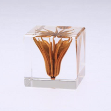 Load image into Gallery viewer, Sola Cube
