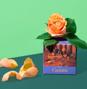 Astrology Mini Puzzle