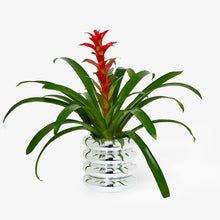 Load image into Gallery viewer, Tall Chrome Stacking Planter
