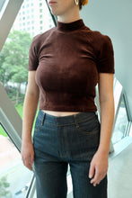 Load image into Gallery viewer, Velour Mock Neck Top in Brown
